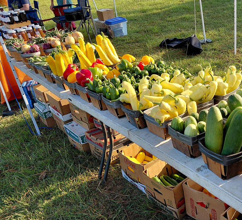 Bourquin Farms and Produce fresh fruits and vegetables in Canton TX