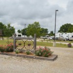 Wagon Train Flowers